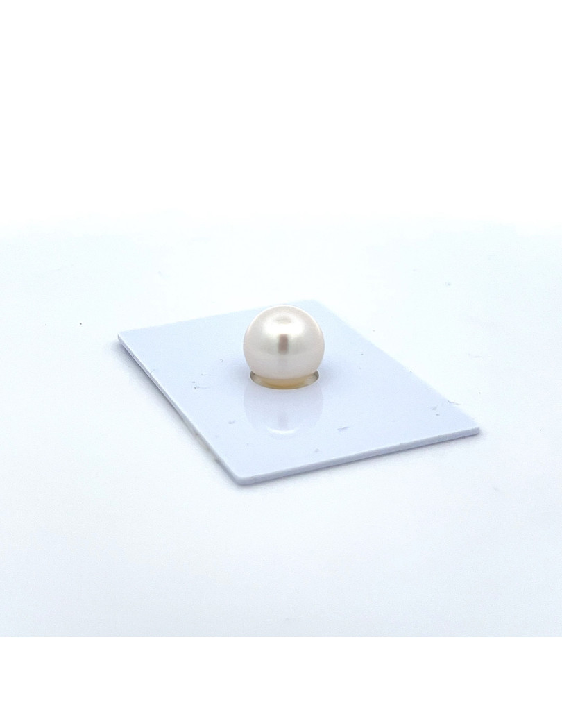 9mm+ gem  grade South Sea pearl, Australia