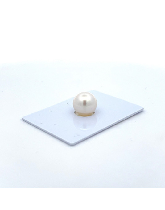 9mm+ gem  grade South Sea pearl, Australia