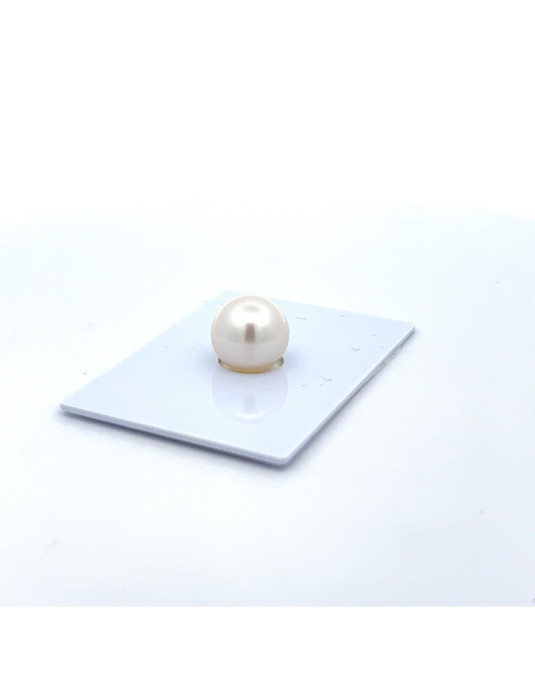 9mm+ gem  grade South Sea pearl, Australia