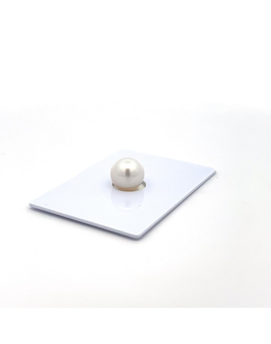 9mm+ gem  grade South Sea pearl, Australia