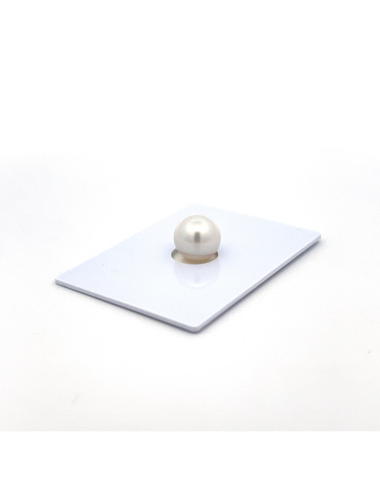 9mm+ gem  grade South Sea pearl, Australia