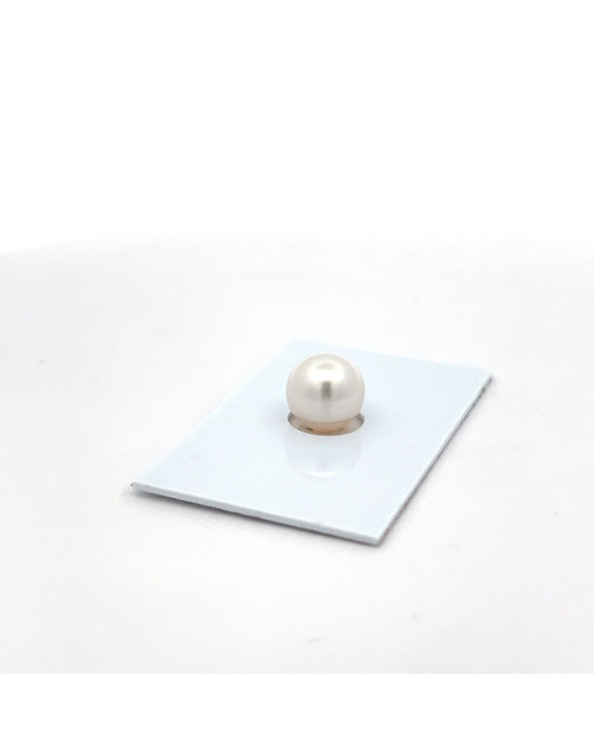 9mm+ fine  grade South Sea pearl, Australia