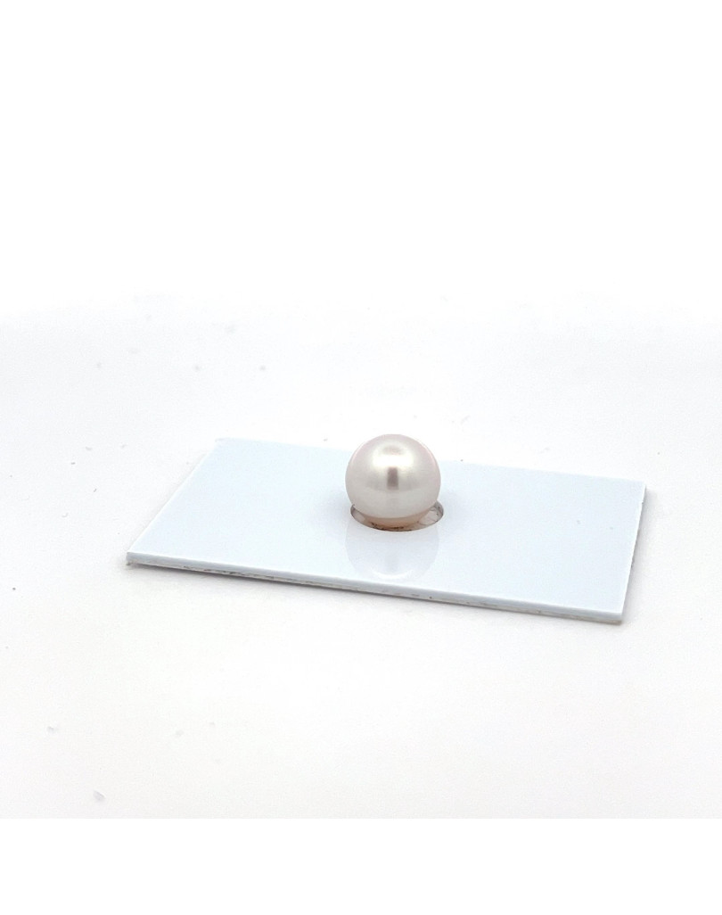 10.22mm South Sea pearl , origin Australia , fine  grade