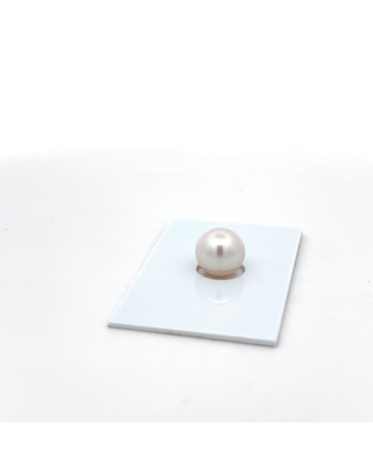 9mm+ fine  grade South Sea pearl, Australia