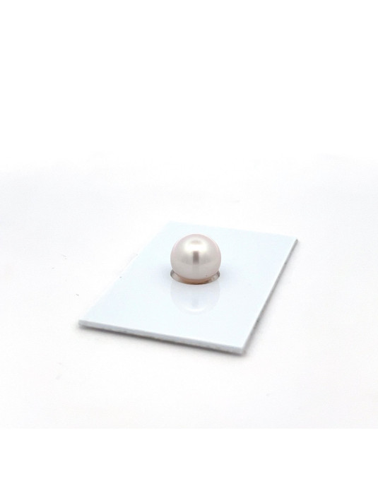 10.22mm South Sea pearl , origin Australia , fine  grade