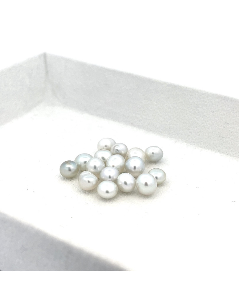 6mm+ gem  grade South Sea pearl, Australia