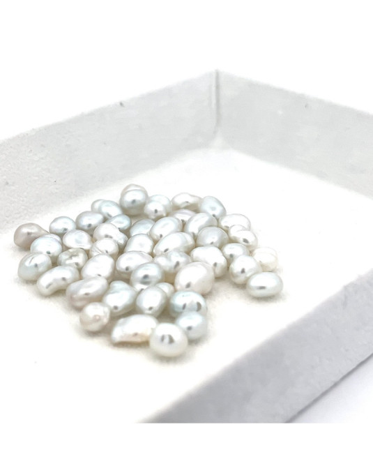 6-6.99mm South Sea pearl , origin Australia , fine  grade