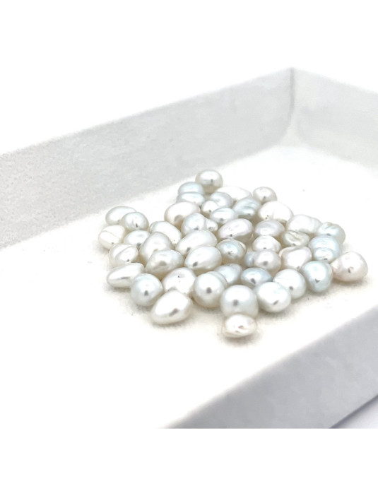 6-6.99mm South Sea pearl , origin Australia , fine  grade