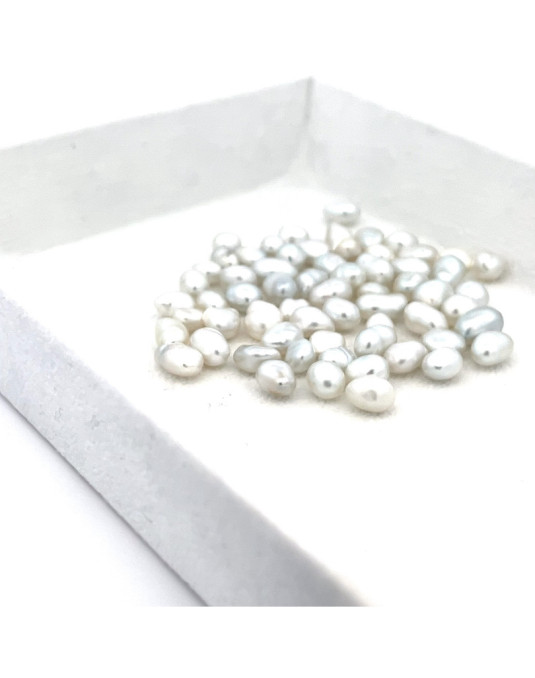 5-5.99mm South Sea pearl , origin Australia , fine  grade