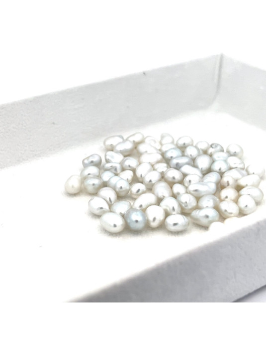 5-5.99mm South Sea pearl , origin Australia , fine  grade