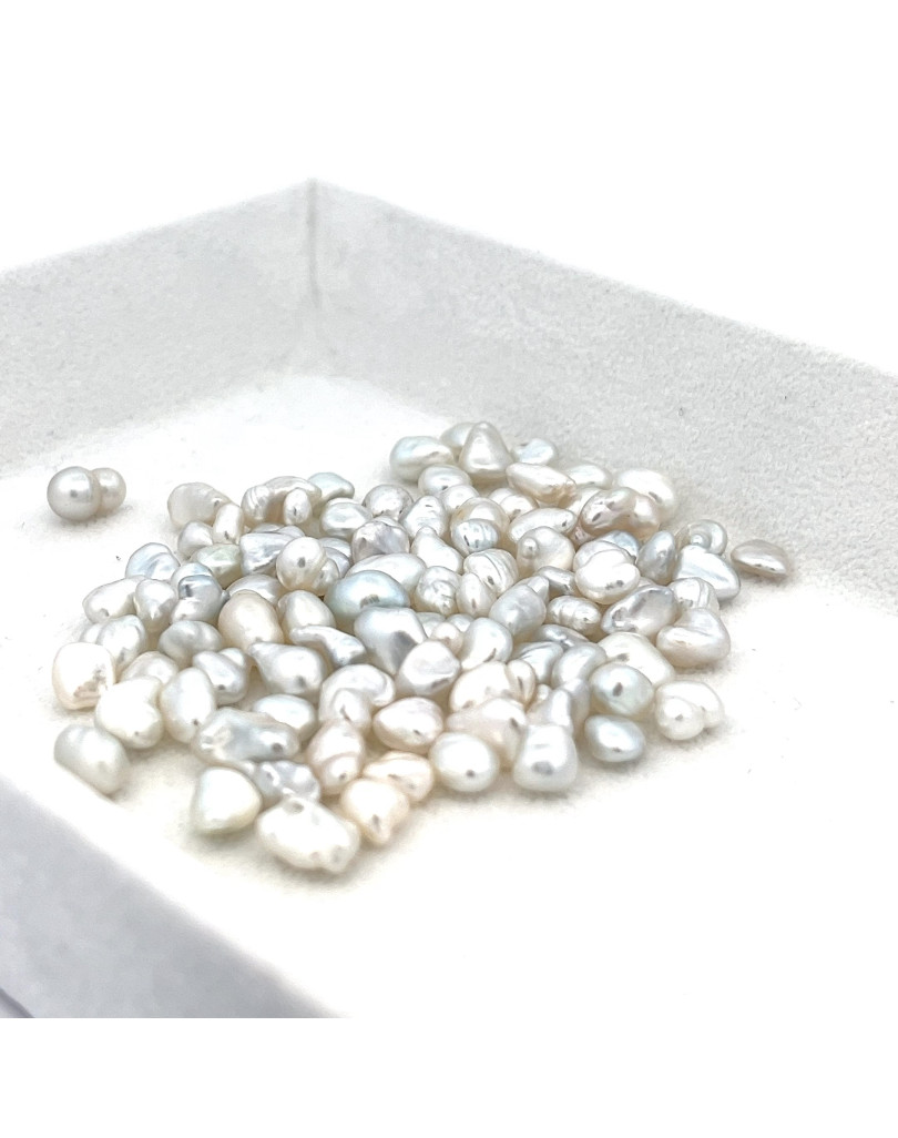 5-5.99mm South Sea pearl , origin Australia , jewel  grade