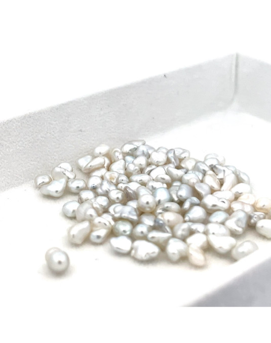5-5.99mm South Sea pearl , origin Australia , jewel  grade