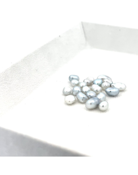 5-5.99mm South Sea pearl , origin Australia , fine  grade