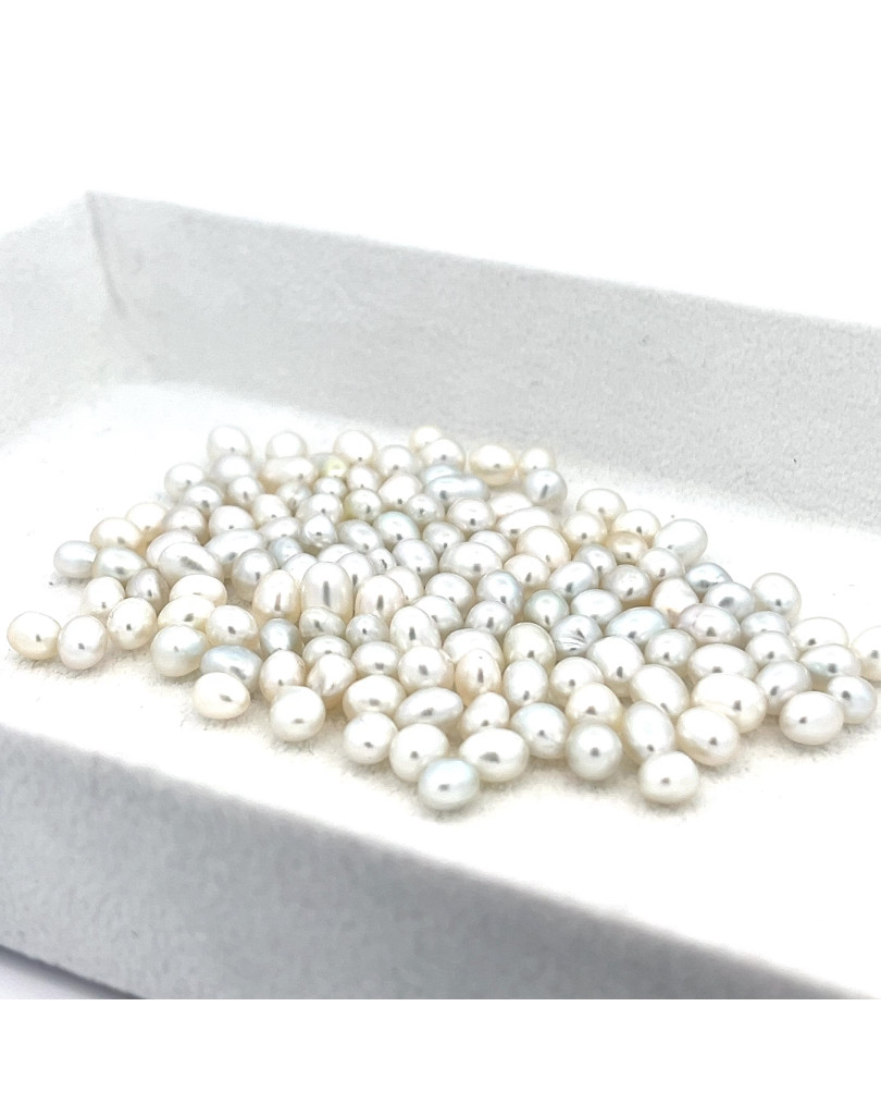 3mm+ fine  grade South Sea pearl, Australia