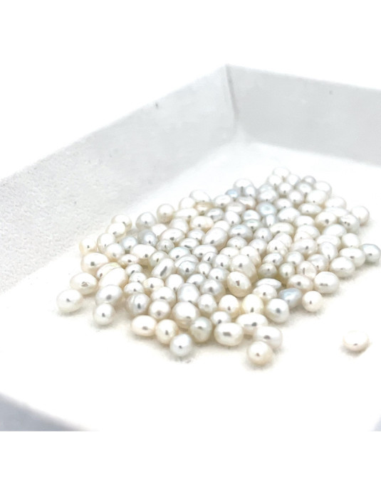 4-4.99mm South Sea pearl , origin Australia , fine  grade