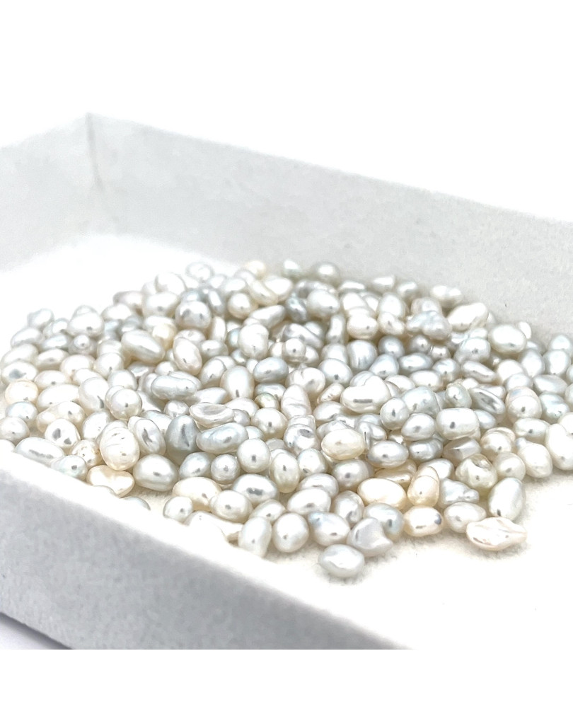 4-4.99mm South Sea pearl , origin Australia , jewel  grade