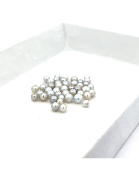 3mm+ gem  grade South Sea pearl, Australia