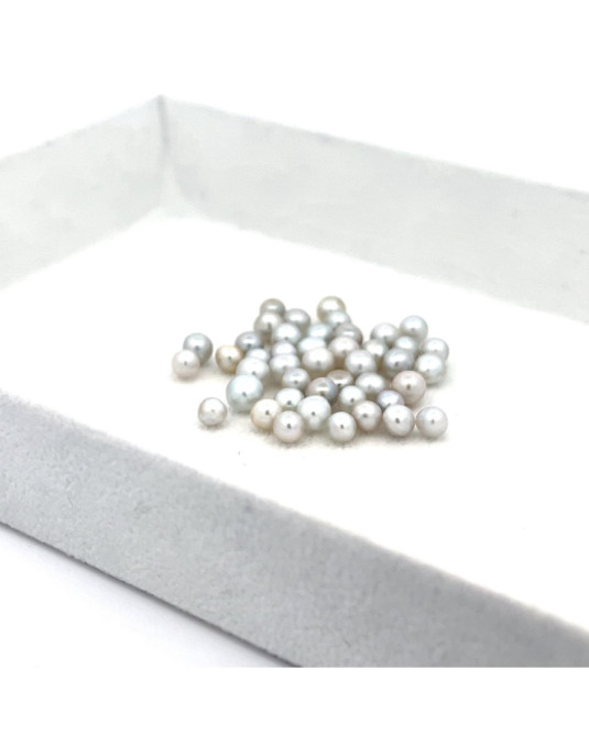 3mm+ gem  grade South Sea pearl, Australia