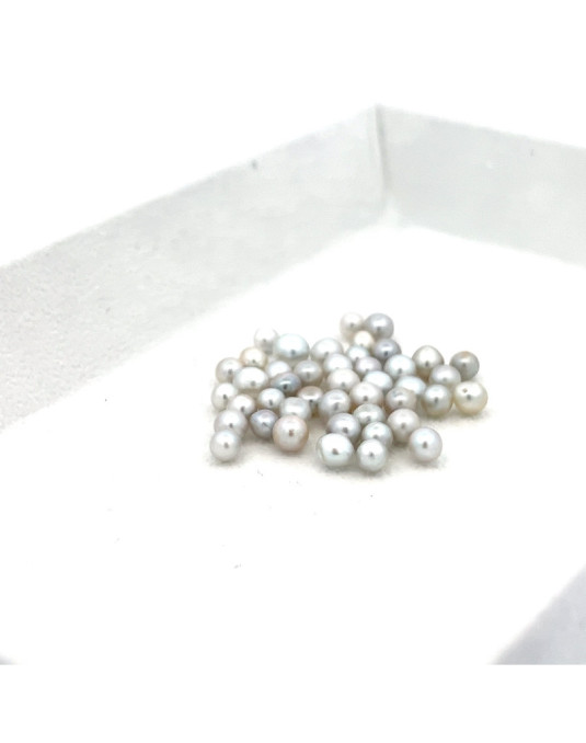 3mm+ gem  grade South Sea pearl, Australia