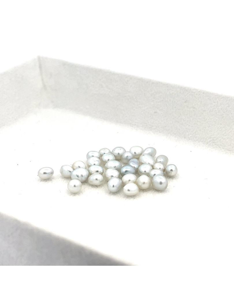 4-4.99mm South Sea pearl , origin Australia , fine  grade