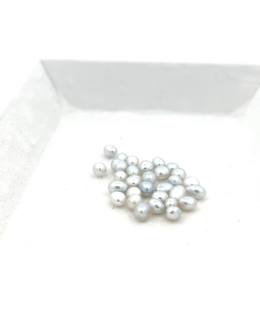 3mm+ fine  grade South Sea pearl, Australia