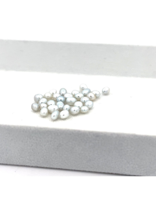 4-4.99mm South Sea pearl , origin Australia , fine  grade