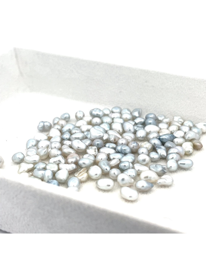 4-4.99mm South Sea pearl , origin Australia , jewel  grade