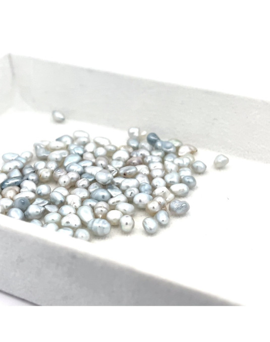 4-4.99mm South Sea pearl , origin Australia , jewel  grade