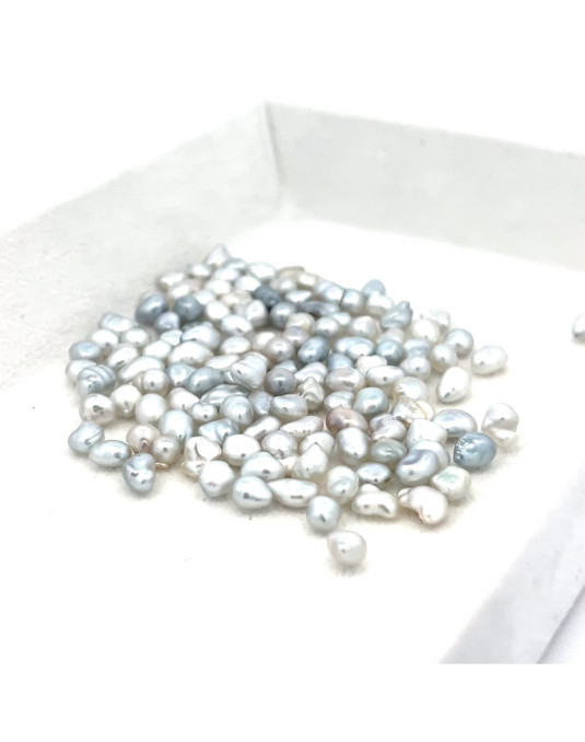 4-4.99mm South Sea pearl , origin Australia , jewel  grade