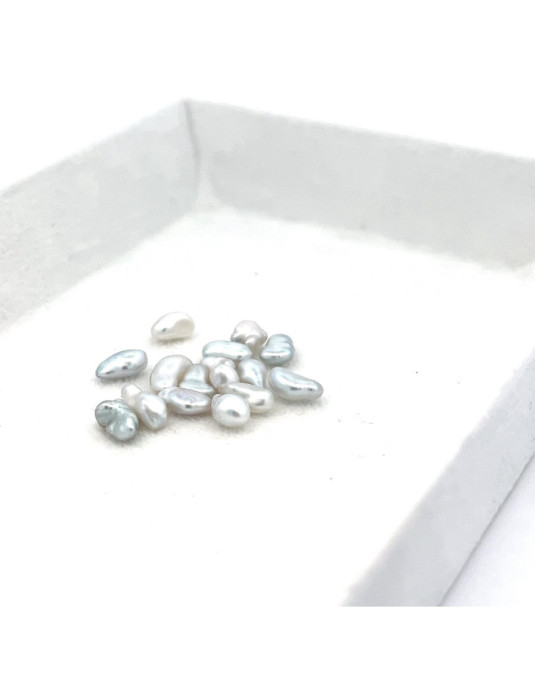 4-4.99mm South Sea pearl , origin Australia , jewel  grade