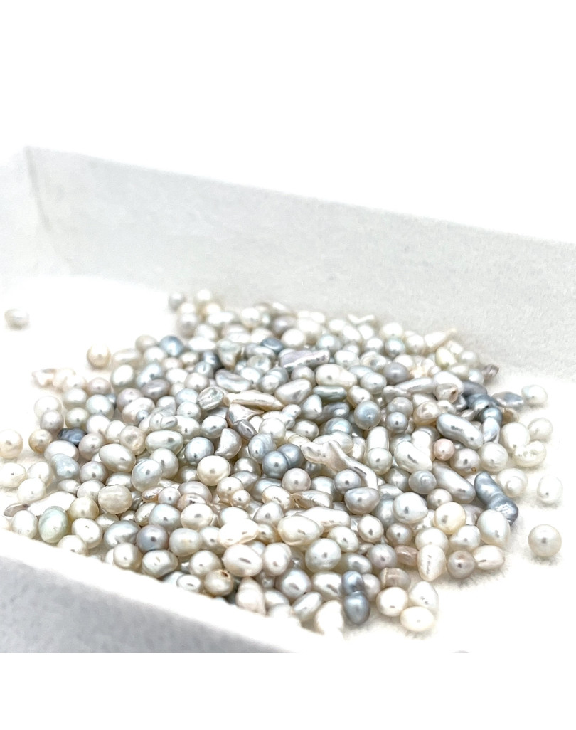 Under 4mm jewel  grade South Sea pearl, Australia