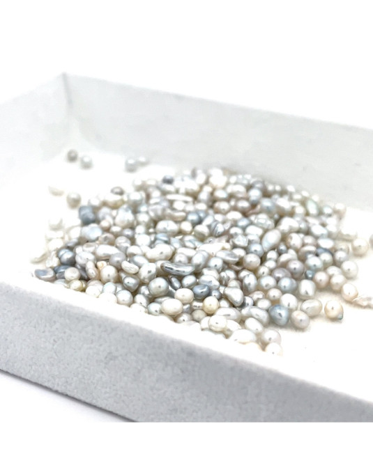 2-3.99mm South Sea pearl , origin Australia , jewel  grade