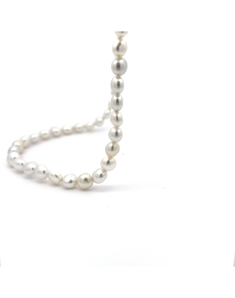 6mm+ fine  grade South Sea pearl, Indonesia