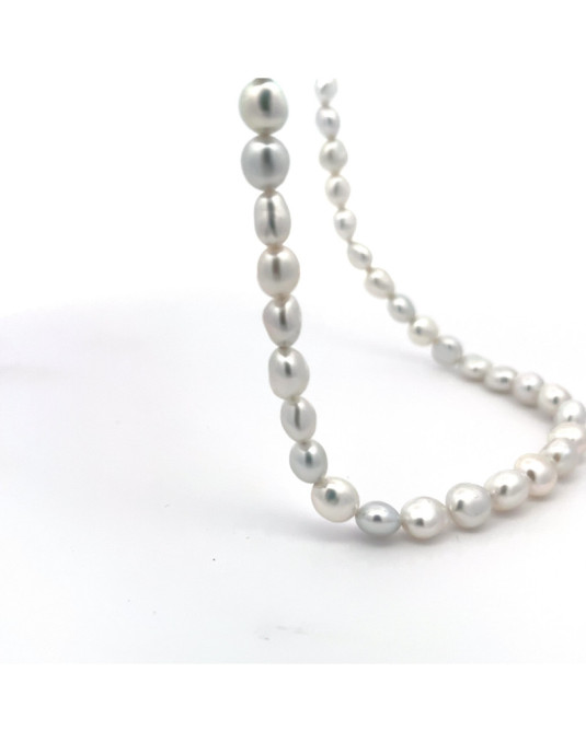 6.05-7.56mm South Sea pearl , origin Indonesia , fine  grade