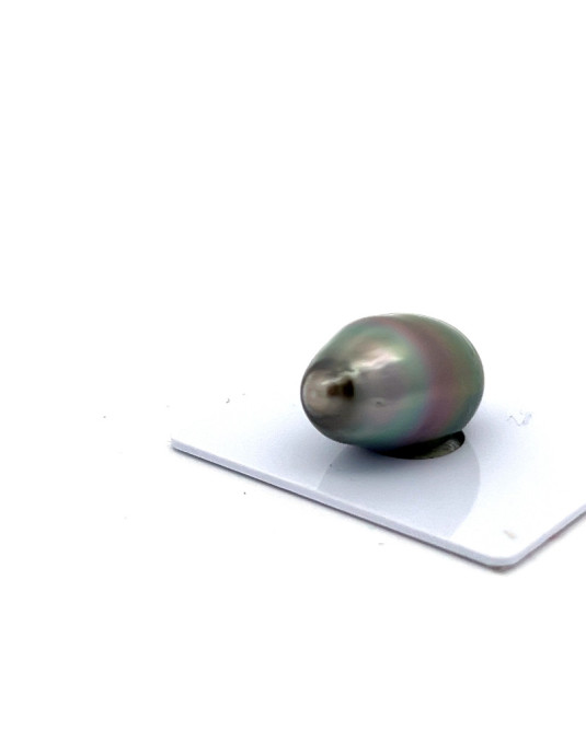 12mm+ fine  grade Tahitian Black pearl, French Polynesia  