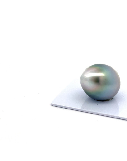15mm+ fine  grade Tahitian Black pearl, French Polynesia  
