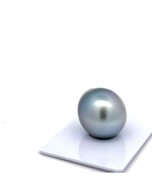 15mm+ fine  grade Tahitian Black pearl, French Polynesia  