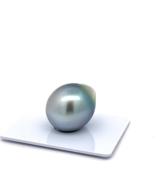 15mm+ fine  grade Tahitian Black pearl, French Polynesia  