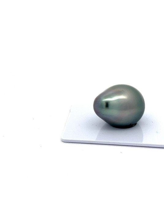 15mm+ fine  grade Tahitian Black pearl, French Polynesia  