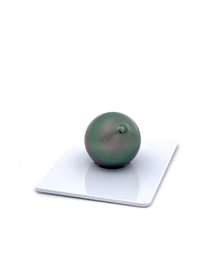 15mm+ fine  grade Tahitian Black pearl, French Polynesia  