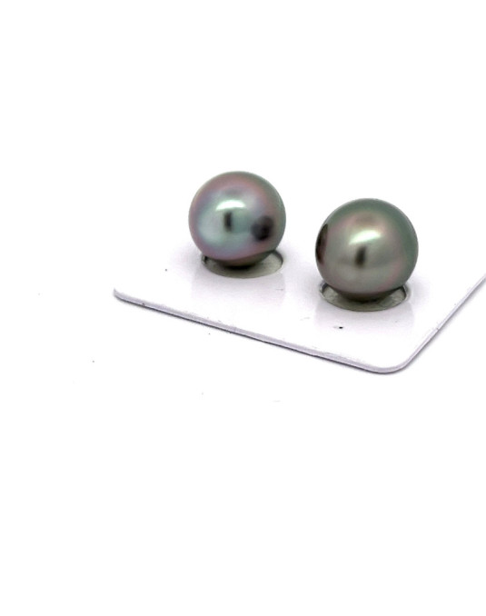 12mm+ fine  grade Tahitian Black pearl, French Polynesia  