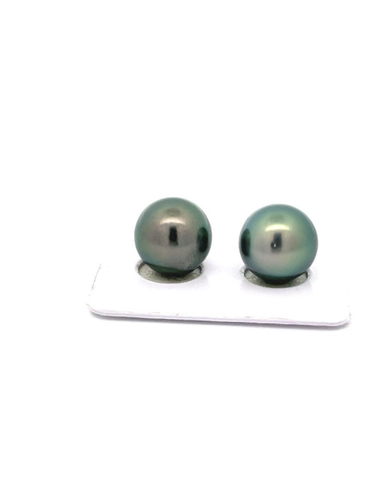 12mm+ fine  grade Tahitian Black pearl, French Polynesia  