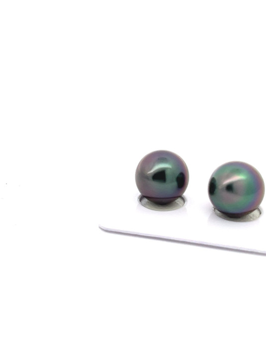 12mm+ fine  grade Tahitian Black pearl, French Polynesia  
