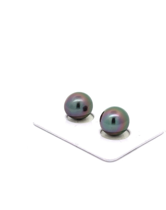 10.22/10.12mm Tahitian Black pearl , origin French Polynesia   , fine  grade