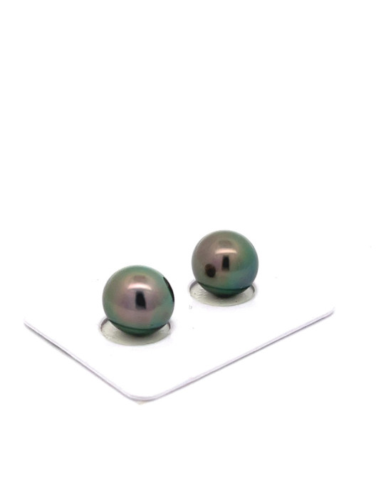 10.22/10.12mm Tahitian Black pearl , origin French Polynesia   , fine  grade