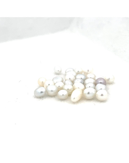3mm+ gem  grade South Sea pearl, Indonesia