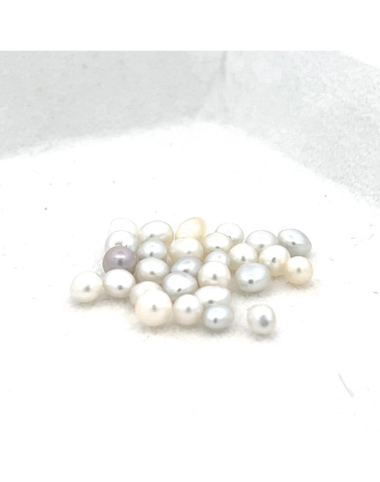 3mm+ gem  grade South Sea pearl, Indonesia