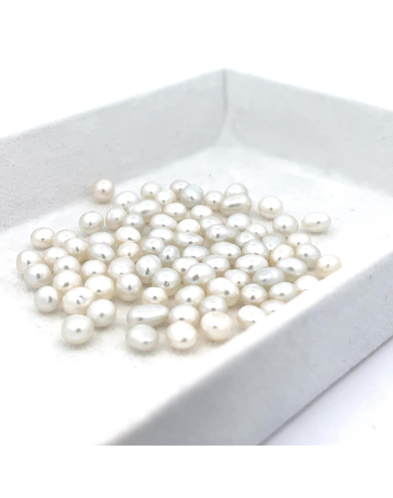 3mm+ gem  grade South Sea pearl, Indonesia