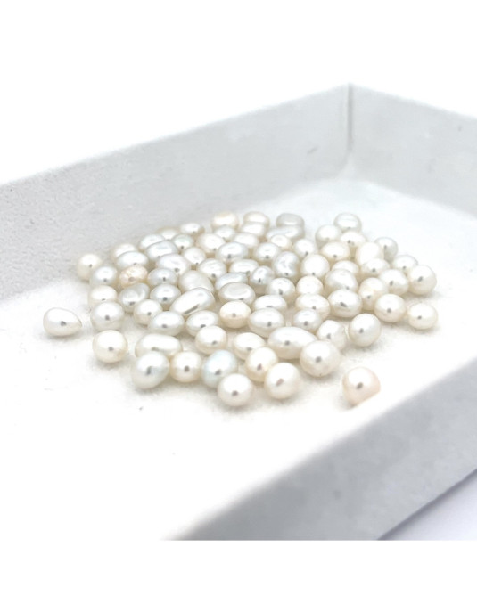 3mm+ gem  grade South Sea pearl, Indonesia