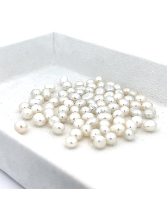 3mm+ gem  grade South Sea pearl, Indonesia